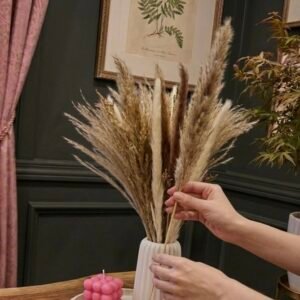 The "Aesthetic Pink & White" Home Decor Bundle