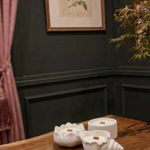 Sculptural Candles - Shell, Lotus & Ribbed Designs